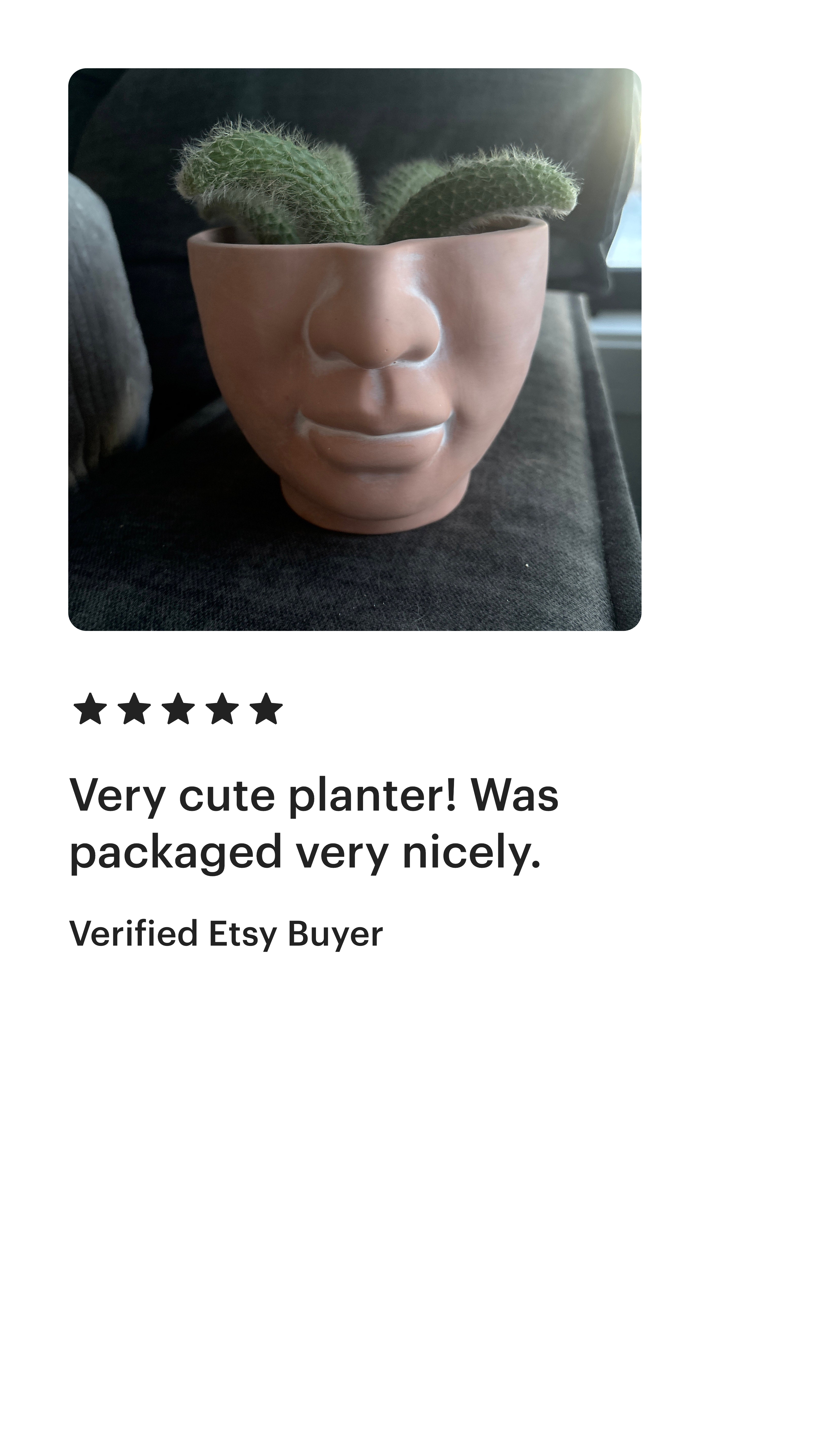Simply Supplied Co - Wholesale Plant Pot - Face Planter | Terracotta Pot | Unique Planter | Head Pot3
