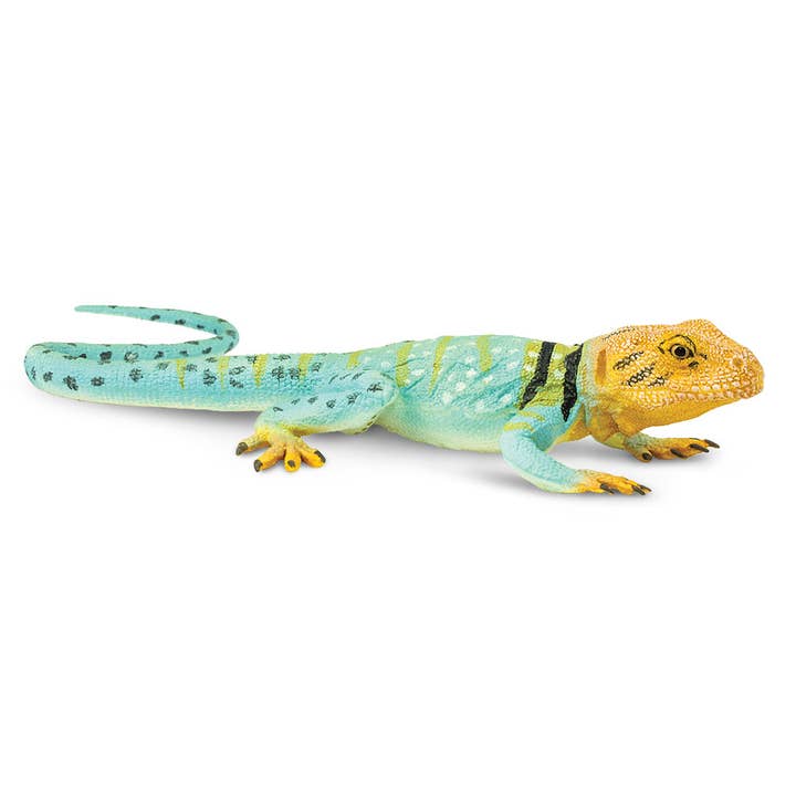 Safari Ltd. - Wholesale Figurine Toy - Kids - Collared Lizard - 2710291