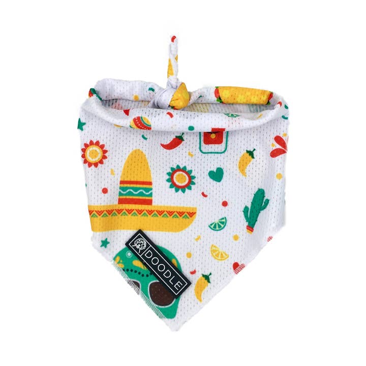 FIESTA for wholesale by Doodle Pet Design Company