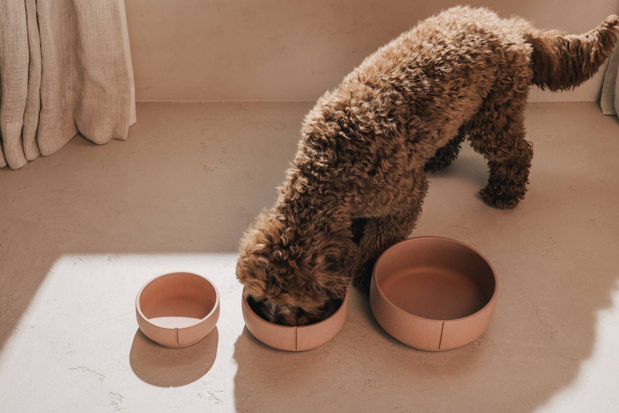 PINO – Engroshandel Kæledyrsskål – Hund – Klassisk skål27