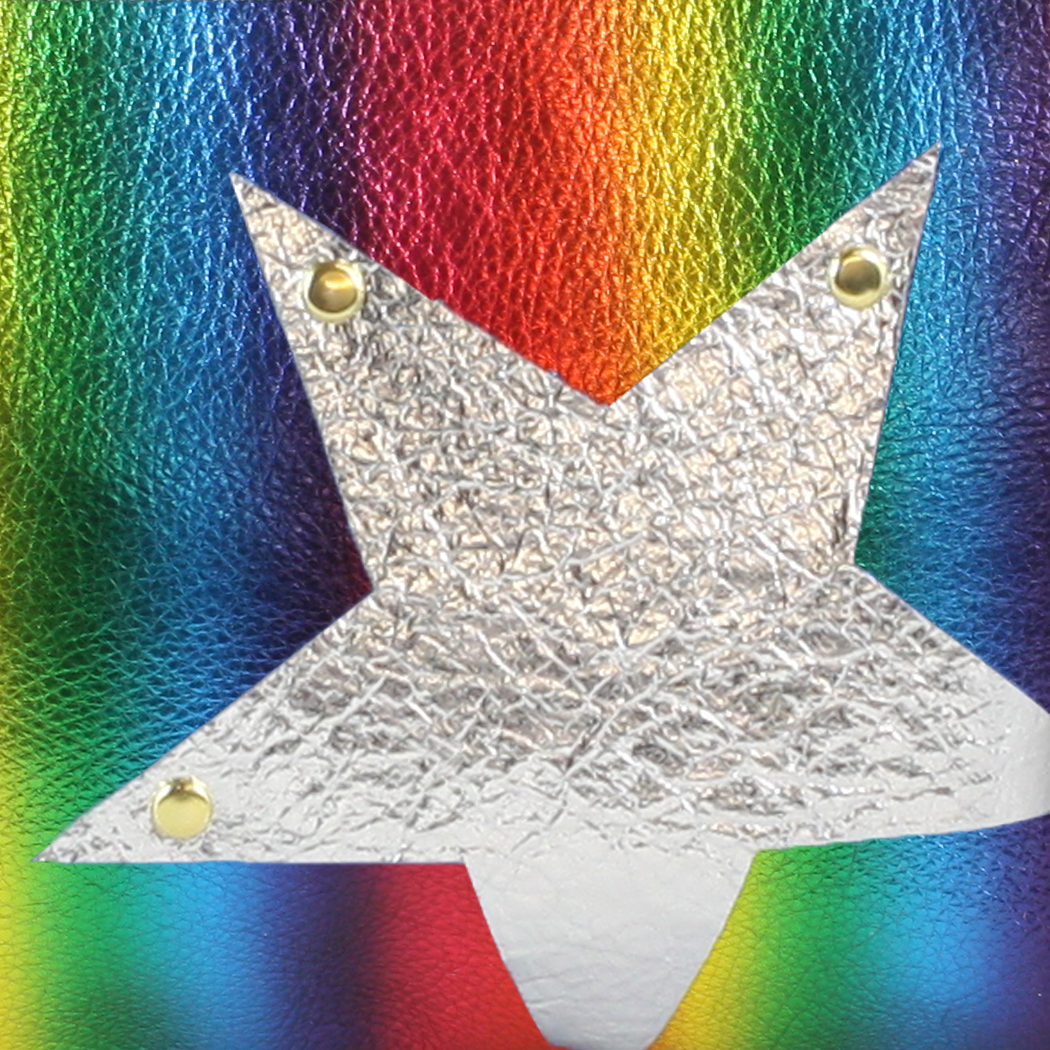 Zina Kao Exclusives - Wholesale Belt Bag - Women's - The Metallic Vail Hipbag w/Star Applique23