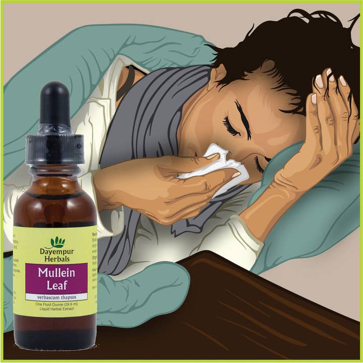 Dayempur Herbals - Wholesale Tincture - Mullein Leaf2