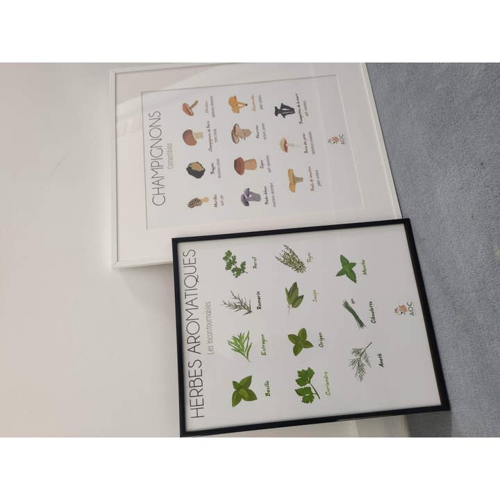 Affiches Originales De Cuisine - Wholesale Poster - Aromatic herbs2