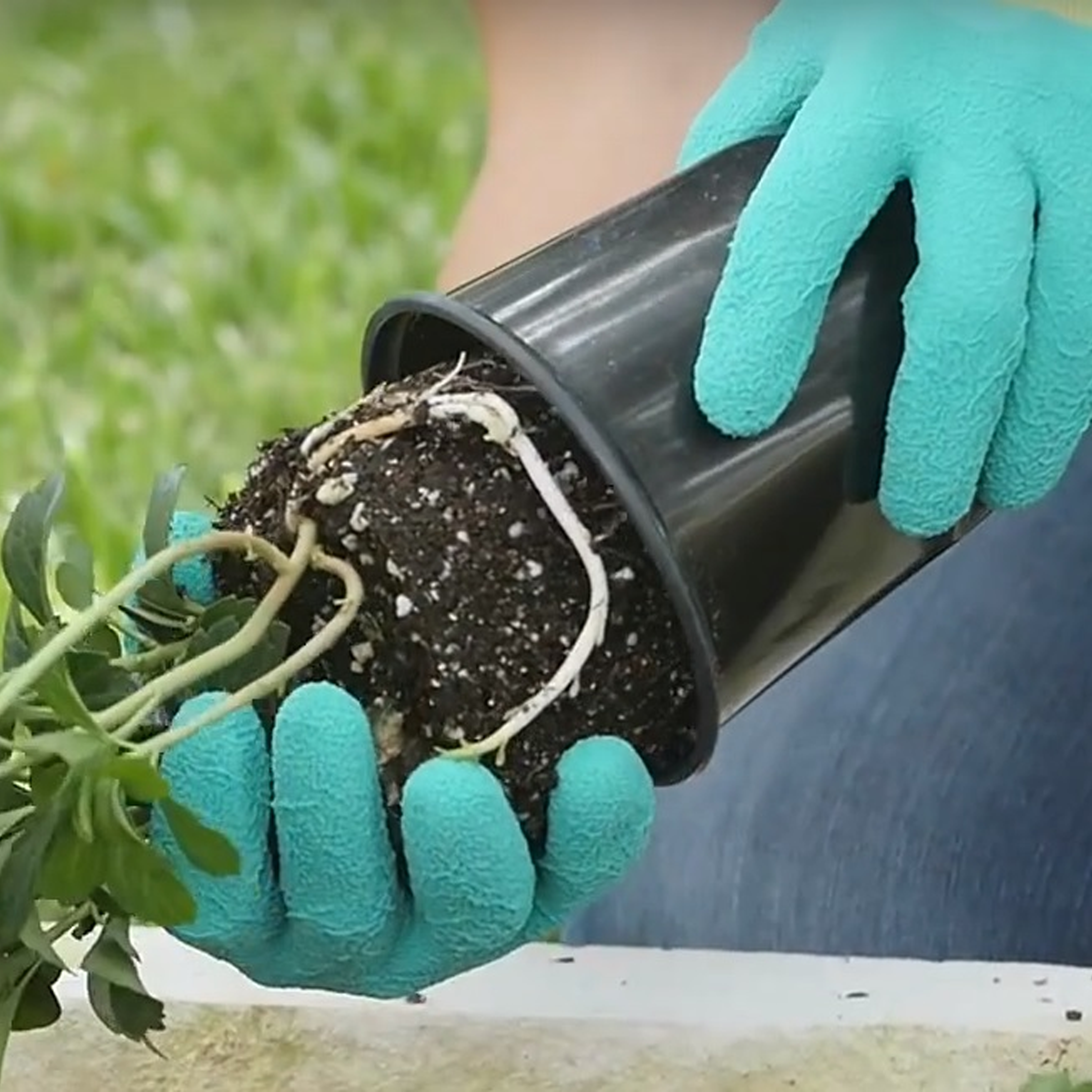 G & F Products - Wholesale Garden gloves - Women MicroFoam Coated Gardening Gloves Durable Flexible 3Pc7