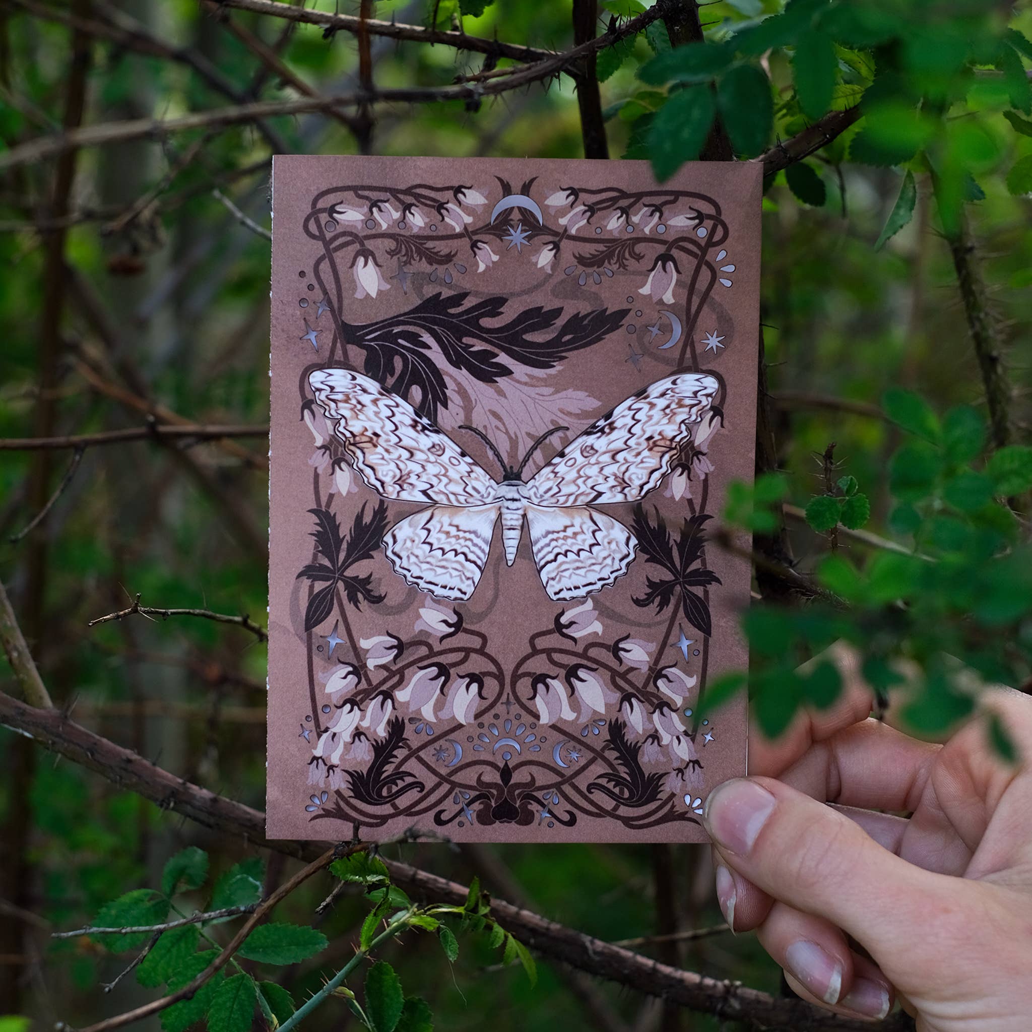 Moth and Myth – Großhandel Grußkarten für den Alltag – Grußkarte mit Weißer Hexen-Motte und abnehmbarem Schmetterling2