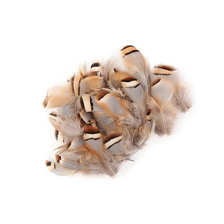 Partridge Plumage Feathers - Natural for wholesale by Zucker Feather Products