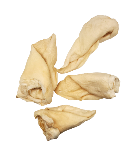 Dibo Pet Foods - Wholesale Pet Treats - Dog - Beef Ears - Dog Chews5