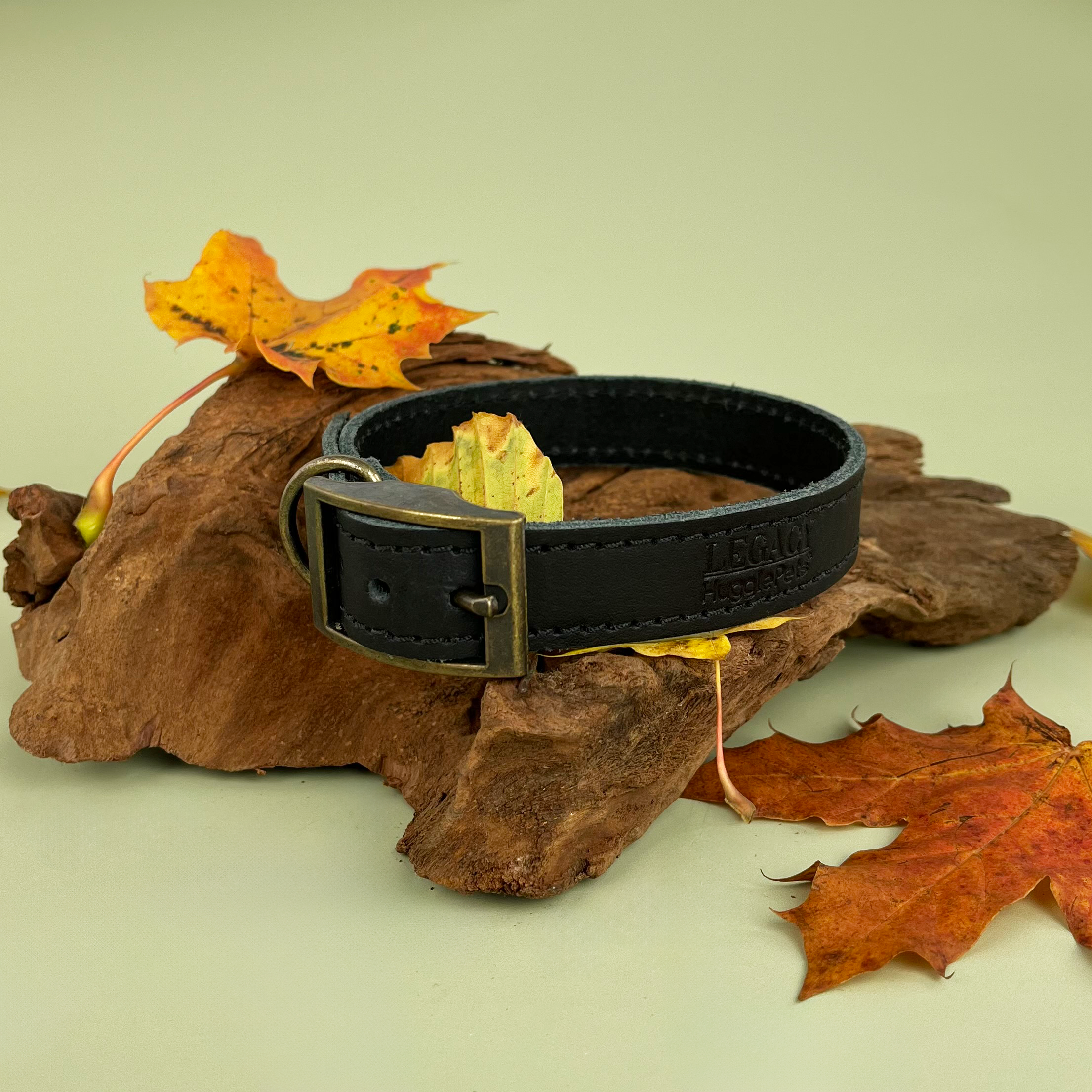 HugglePets – wholesale Pet collar – Dog – HugglePets Legacy Leather Dog Collar31