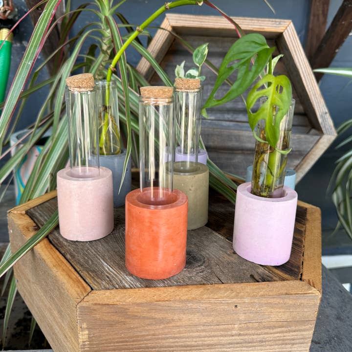 Good Girl Market - Wholesale Vase - Concrete Propagation Station5