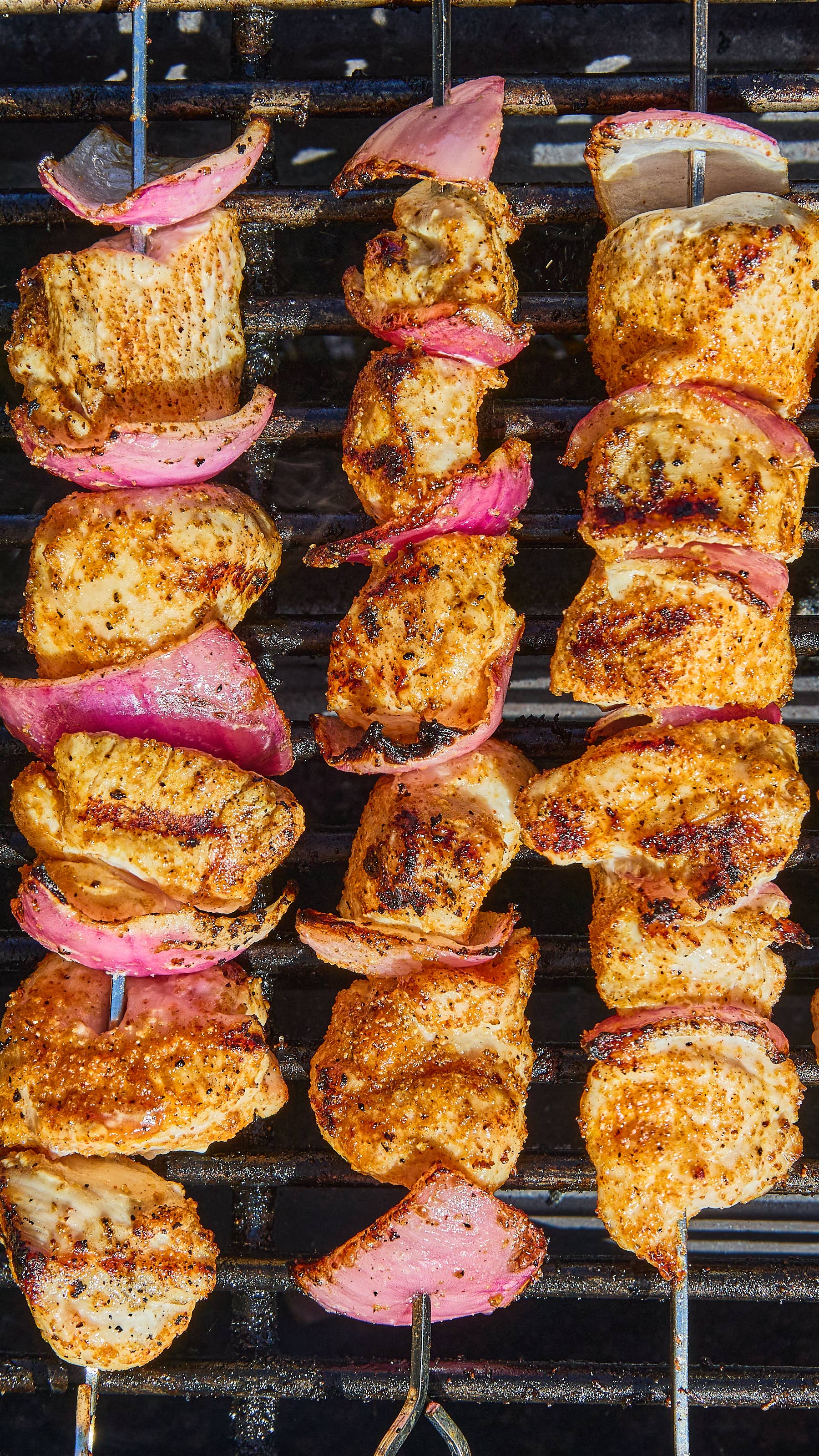 Desert Dust - Wholesale Dried Spice Mix - SAVORY All-Purpose Seasoning, ft. Dates & Cumin2