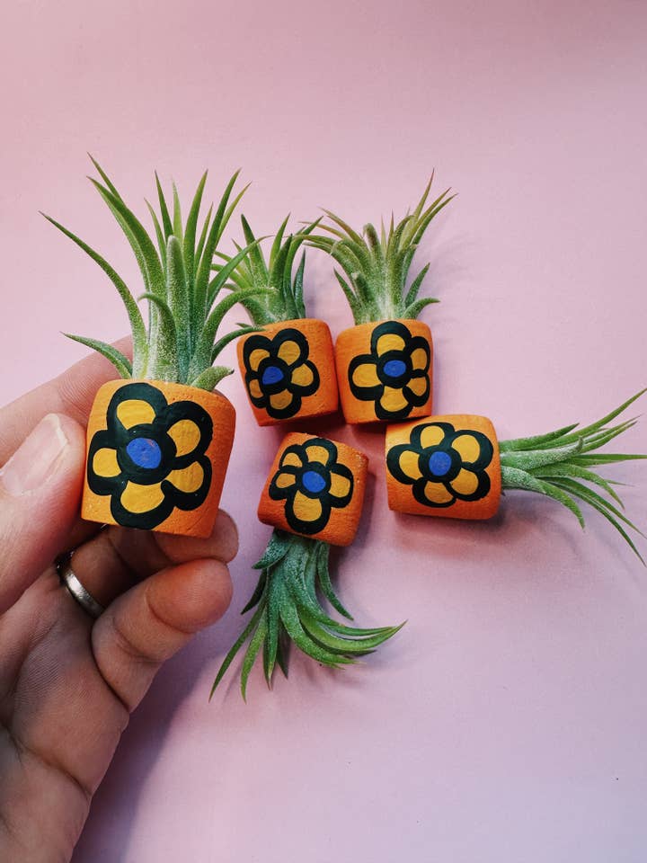 90's Flower Mini Plant and Planter for wholesale by O'Berry's Succulents