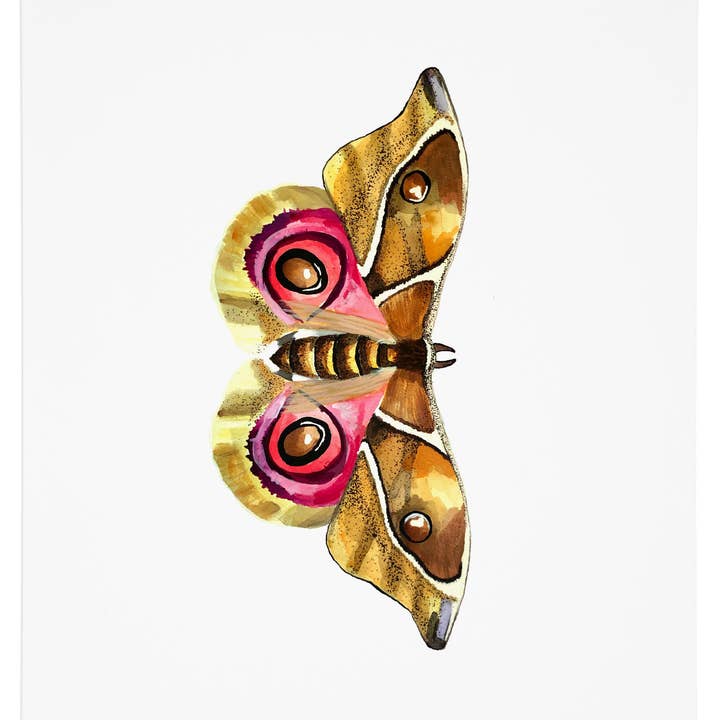 Moth 1 Art Print for wholesale by J6R6