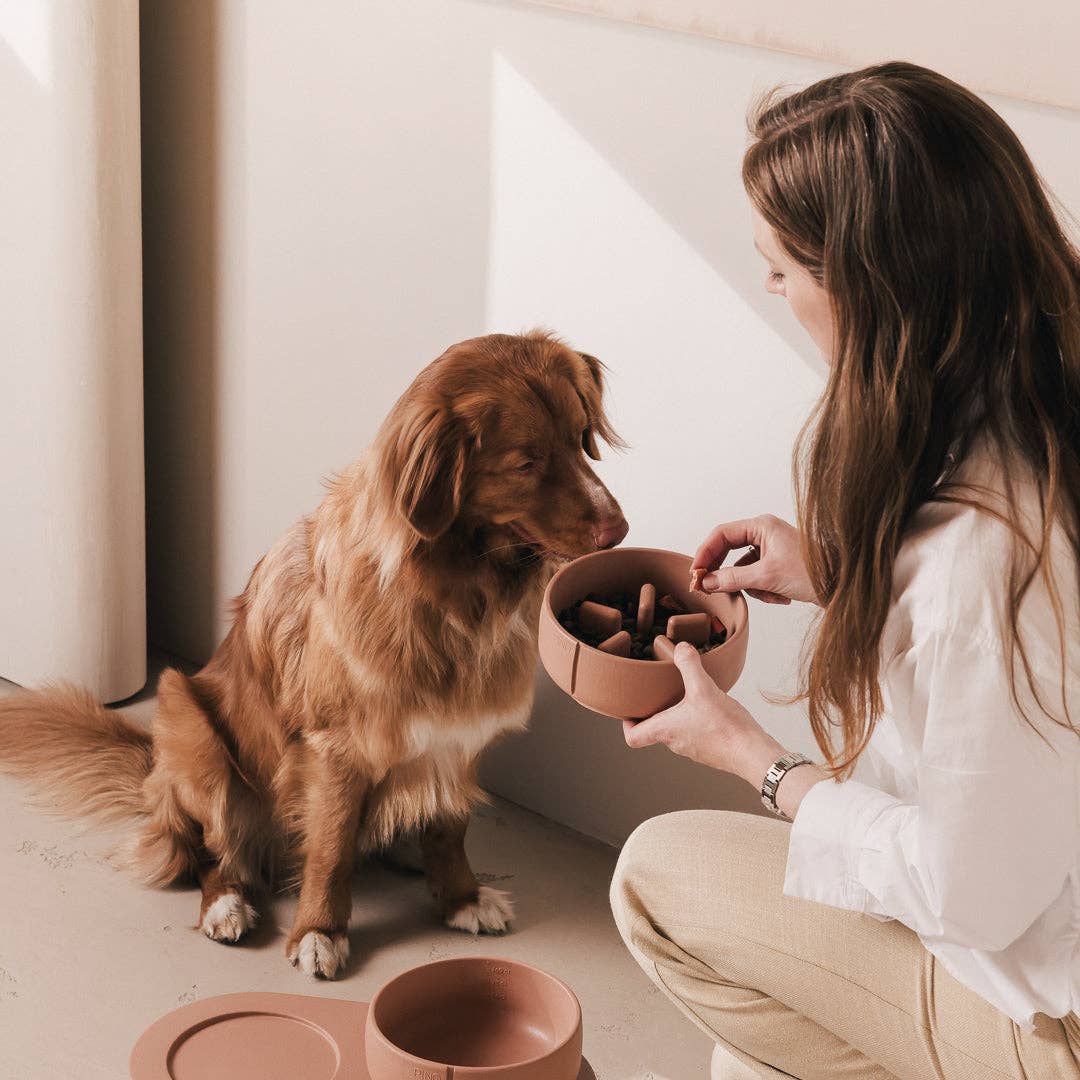 PINO - Wholesale Pet Bowl - Dog - Slow Feeder Bowl21