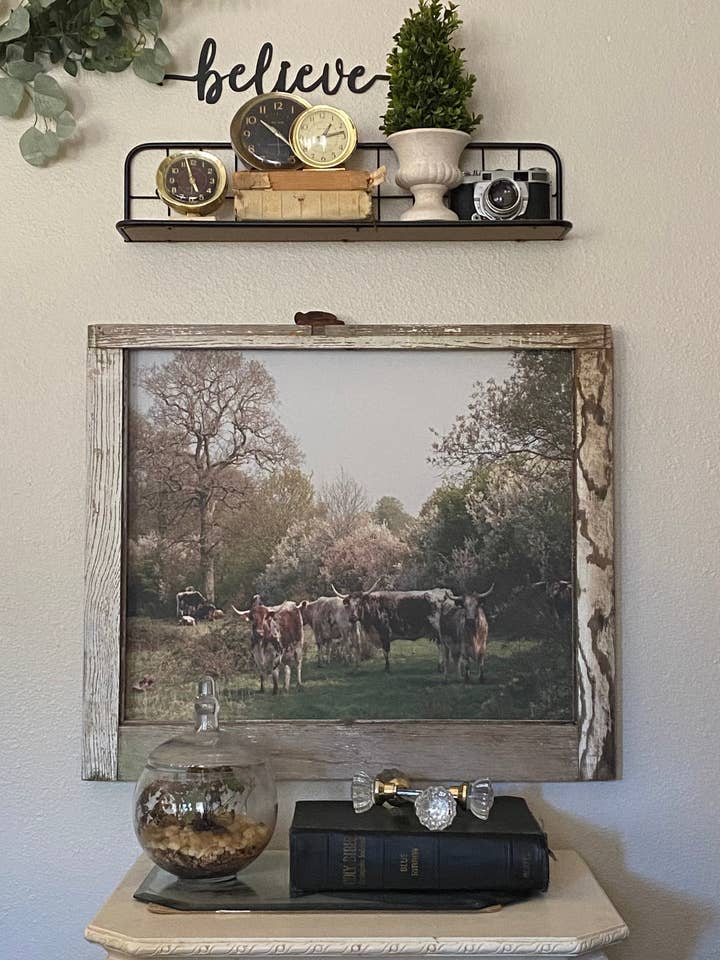 Longhorns sotto l'albero per la vendita all'ingrosso da parte di Whitewashed Home