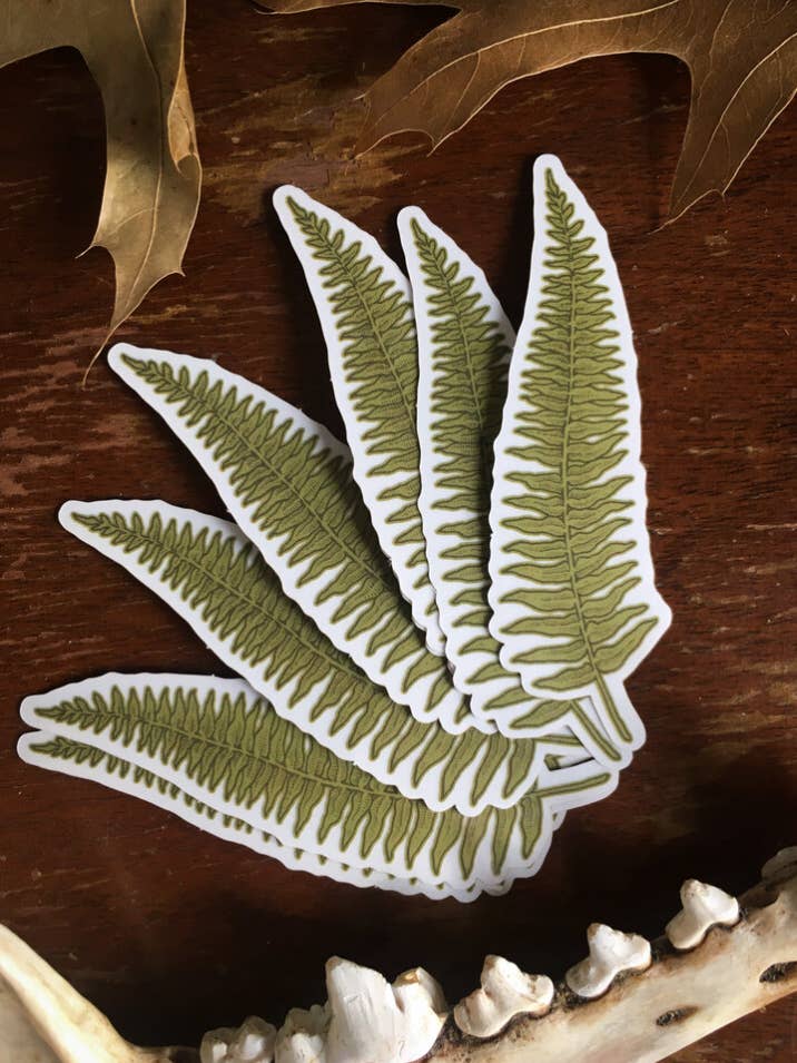 Svärd Ormbunke klar vinyl klistermärke för wholesale av Tenderheart Studio