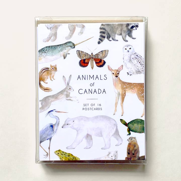 Animals of Canada Postcard Set for wholesale by Emilie Simpson Art & Design