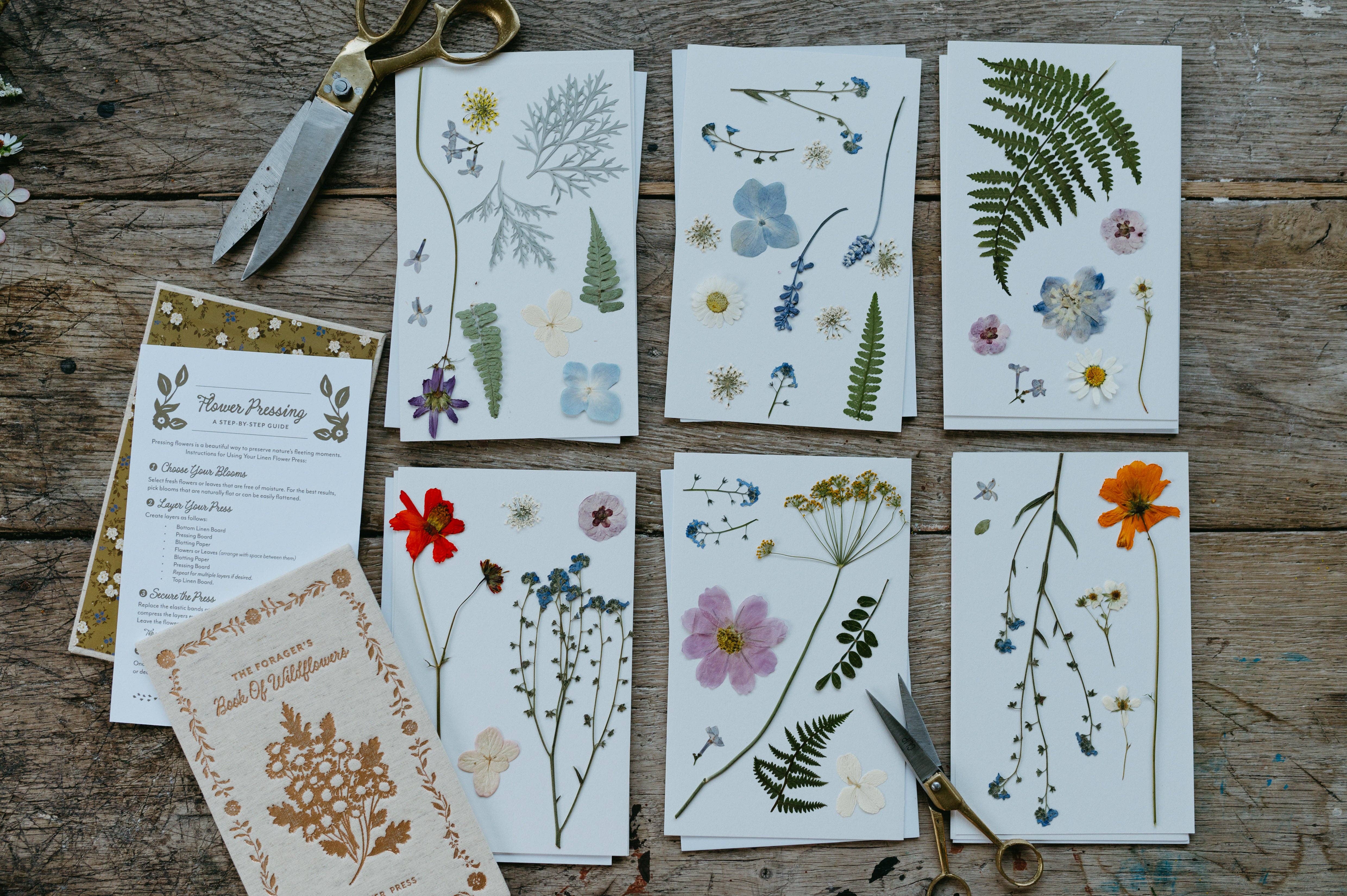 Flowerie – wholesale DIY-pysselkit – Linneblomspress: Samlarens bok om vildblommor4