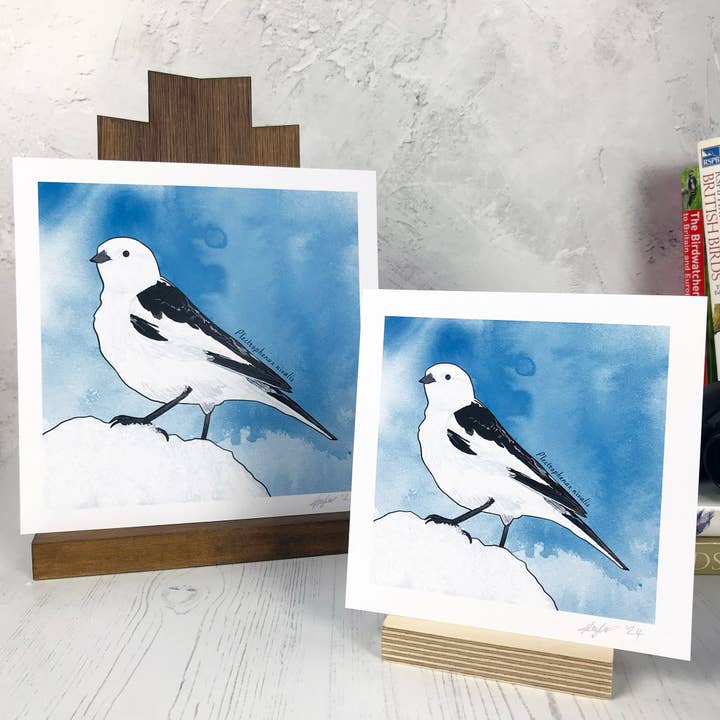 Snow Bunting Bird Print for wholesale by Loadofolbobbins