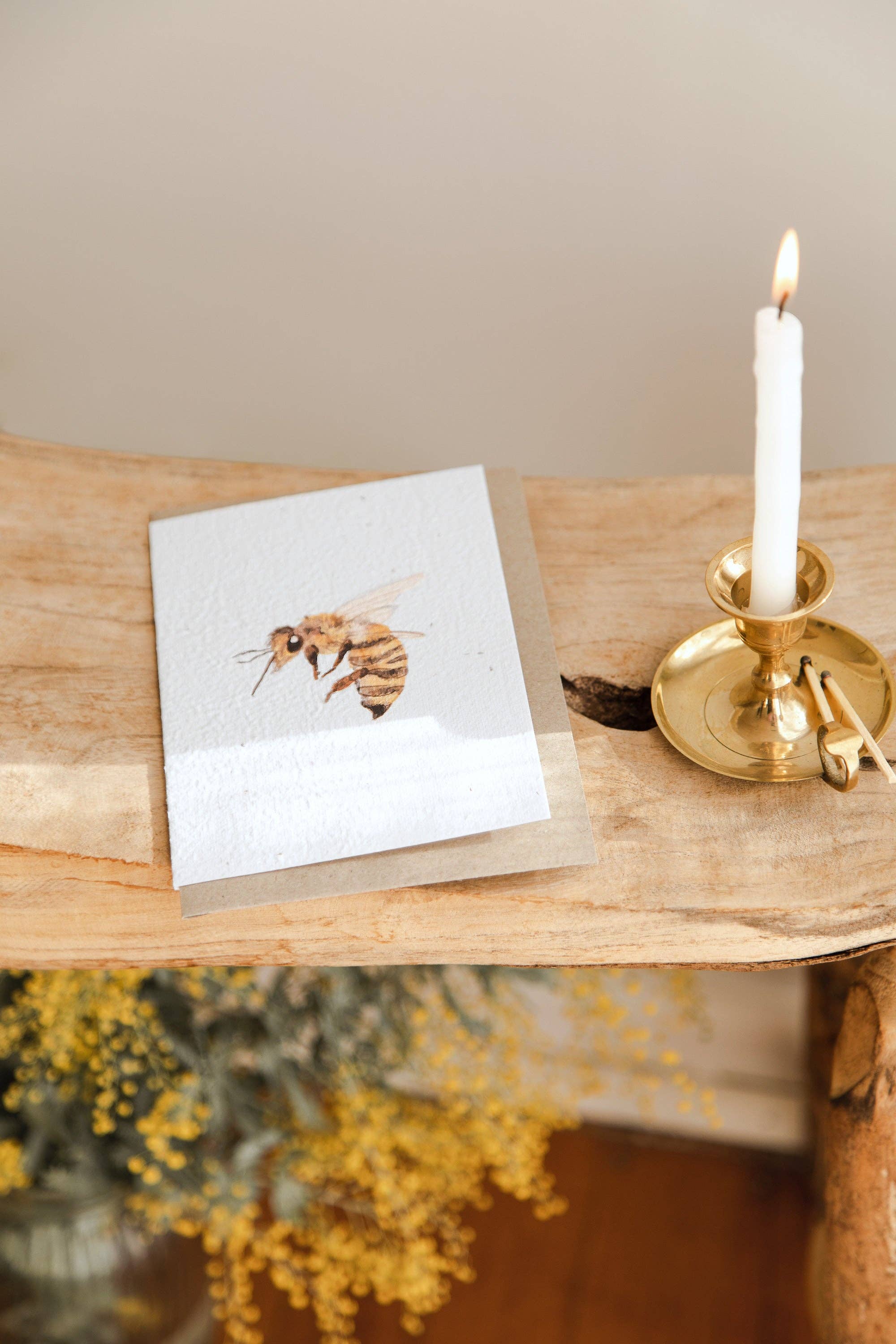 treasureinventory - Venta al por mayor Tarjetas de felicitación - Botánicos Australianos // Tarjetas Plantables // Paquete de 27 Tarjetas7