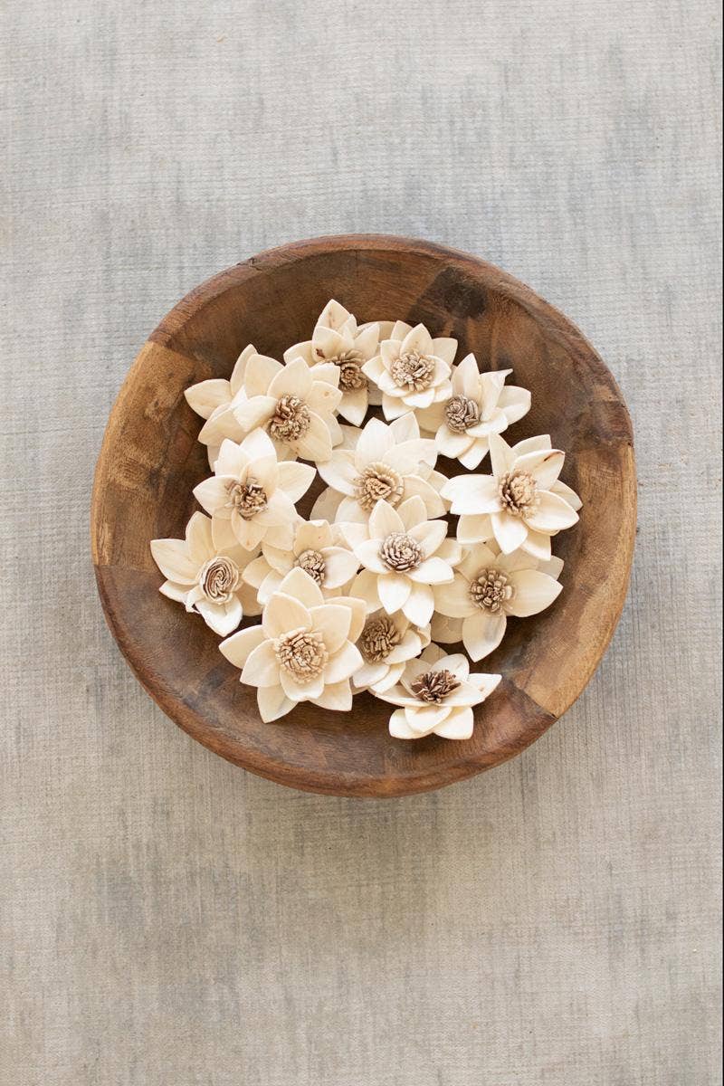 White DRIED RUKMANI FLOWERS - BAG OF 16 for wholesale on Faire0