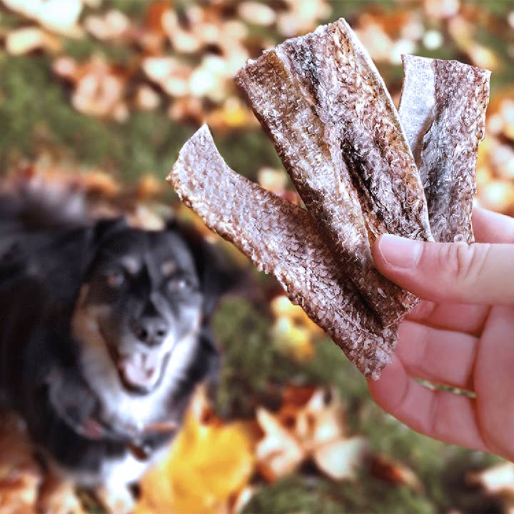 Goodchap's - Wholesale Pet Treats - Dog - Whitefish Jerky | Natural Dog Chews | Compostable Packaging 4