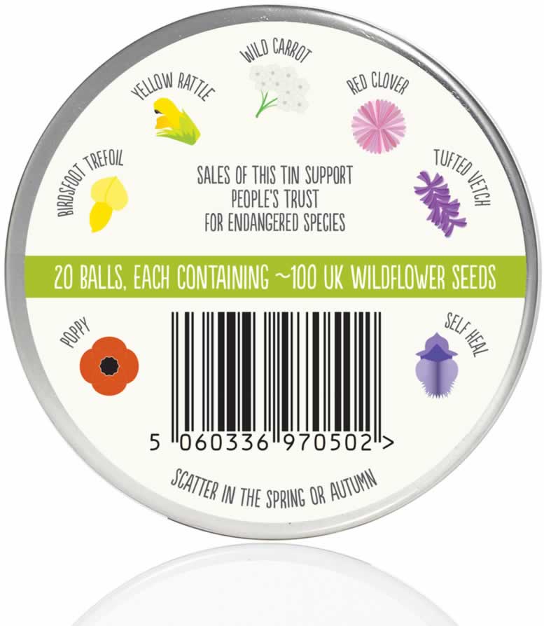 Jin Designs - Wholesale Plant pot - Hedgehog Mix Wildflower Seedballs3