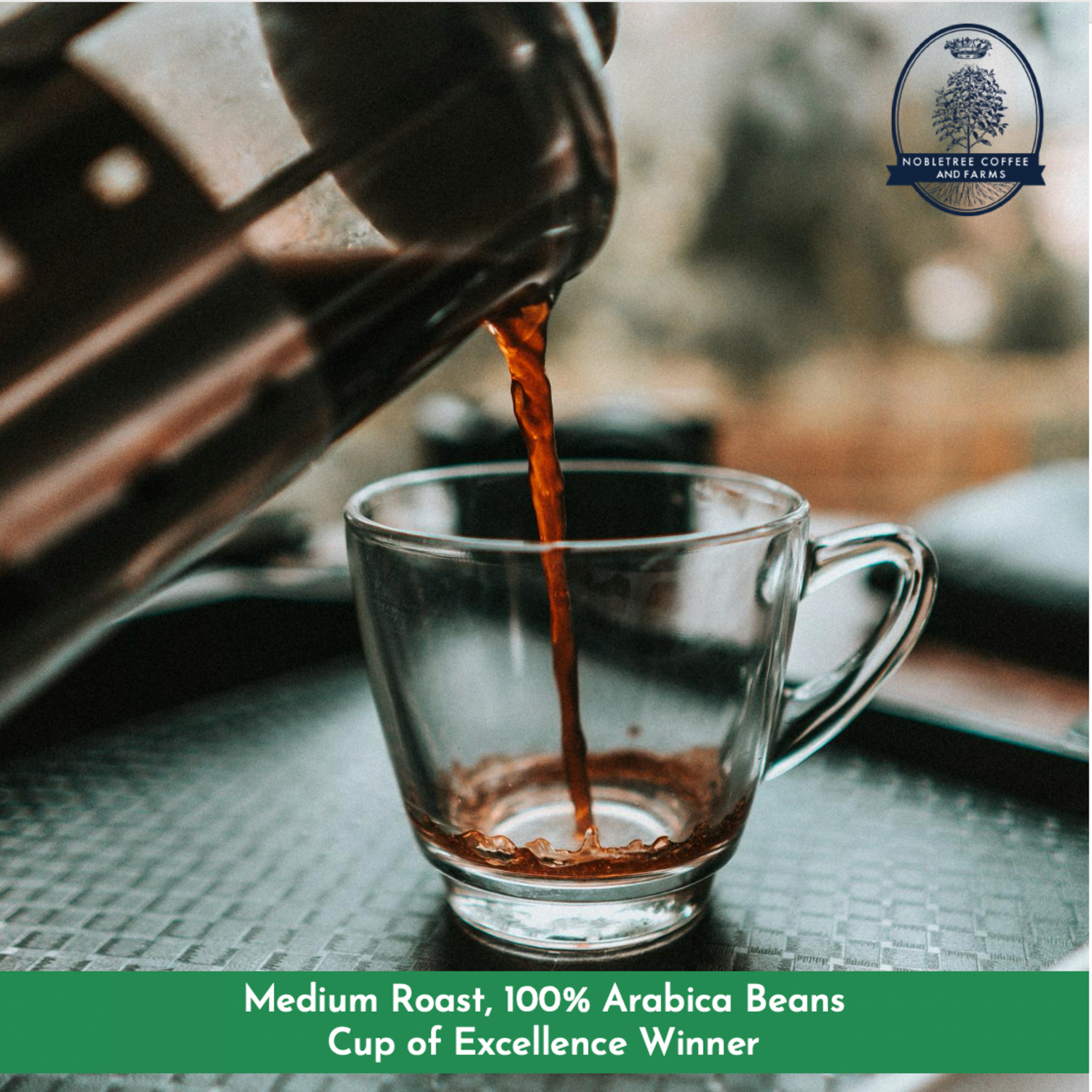 Nobletree Coffee - Wholesale Coffee Beans - Nobletree "Gato Preto" Medium Roast Coffee, 12oz.8