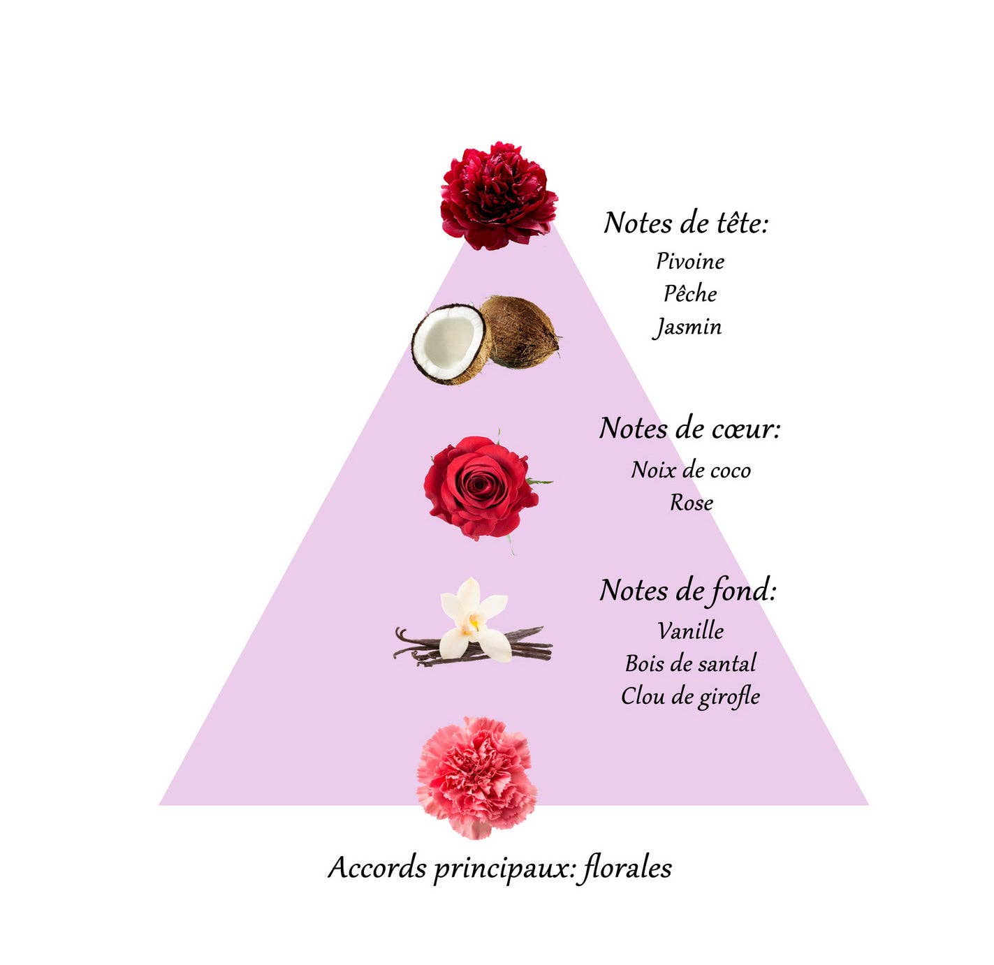 FAMILLE GRASSE PARFUMS - Vendita all'ingrosso Profumi/Eau de toilette - AMAZING PEONY Olio profumato per donna 10ml2