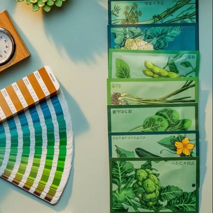 Chive - Wholesale Plant Seeds - Veggie Seeds Assortment 96pcs #2 Plant Care Pot Themed Gift5