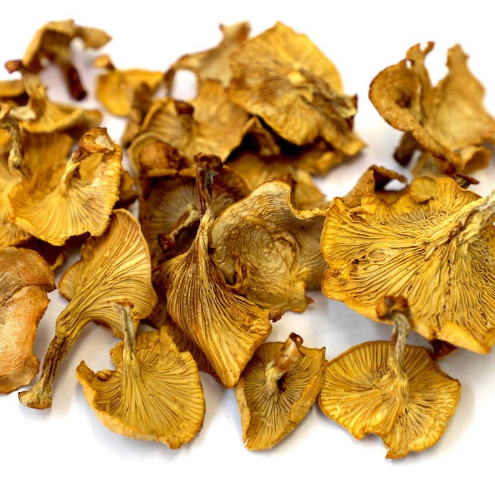 Boreal Heartland - Wholesale Dried/Dehydrated Vegetables - Dried Chanterelle Mushrooms1