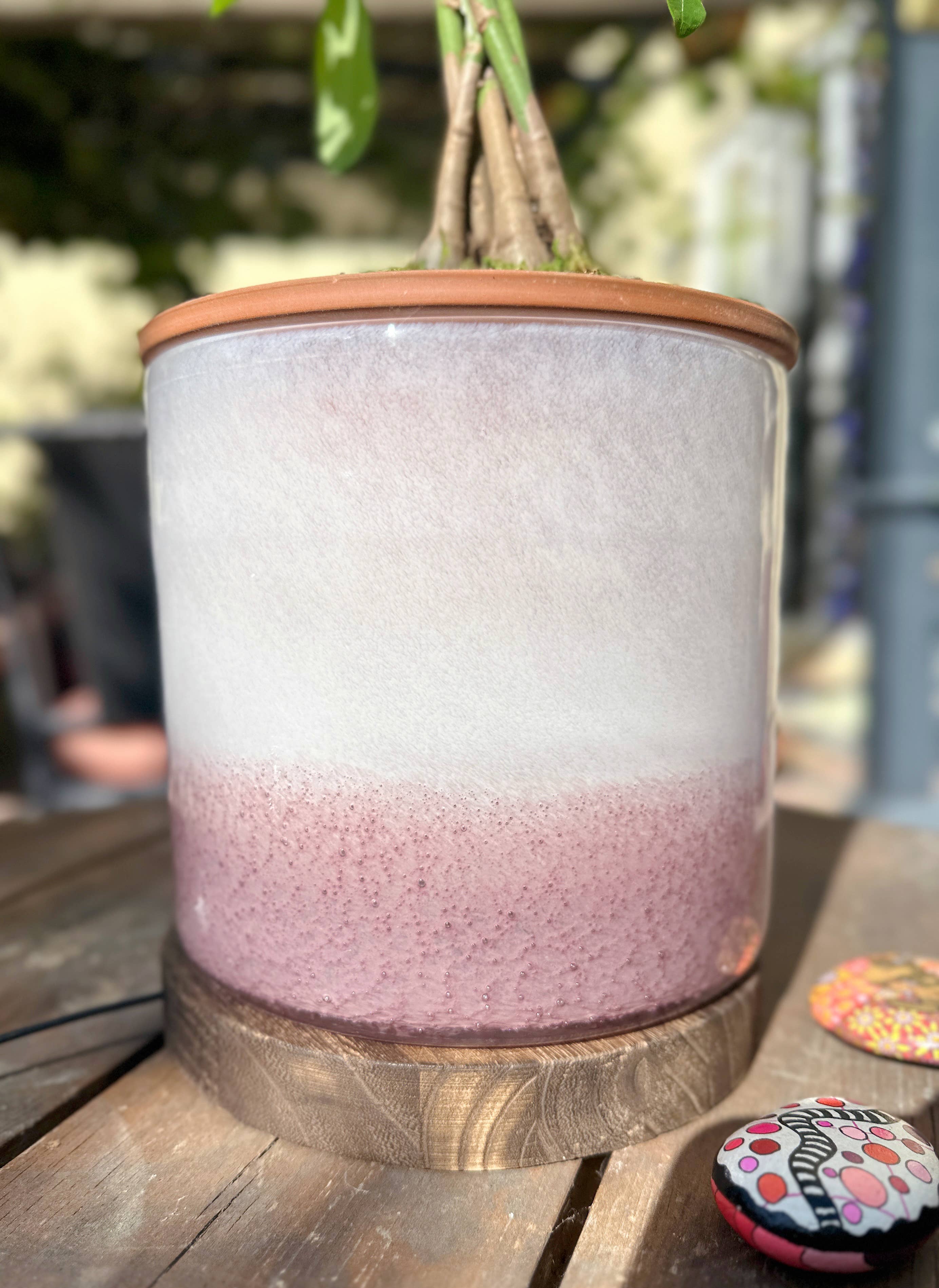 ApricotMint - Wholesale Plant Pot - 8" Art Glass LED Self Watering Planter (USB Plug-in)10