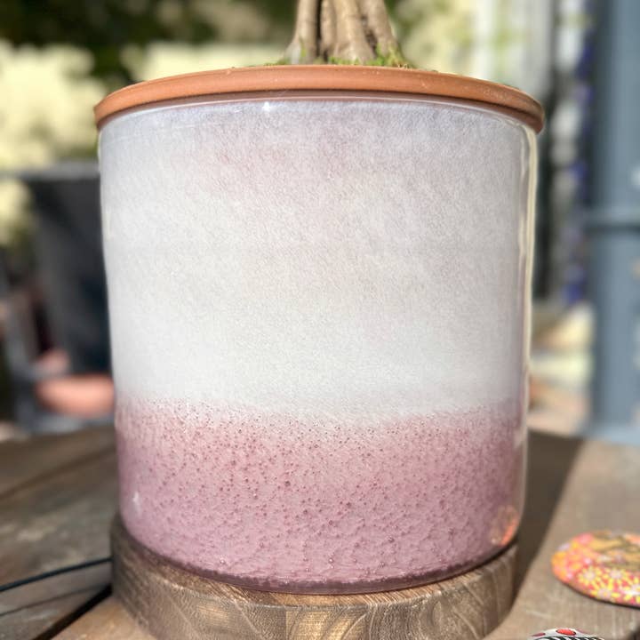 ApricotMint - Wholesale Plant Pot - 8" Art Glass LED Self Watering Planter (USB Plug-in)10