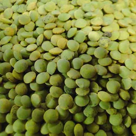 Hudson Meat Company - Wholesale Beans - LENTILS GREEN ORGANIC - BULK PACK