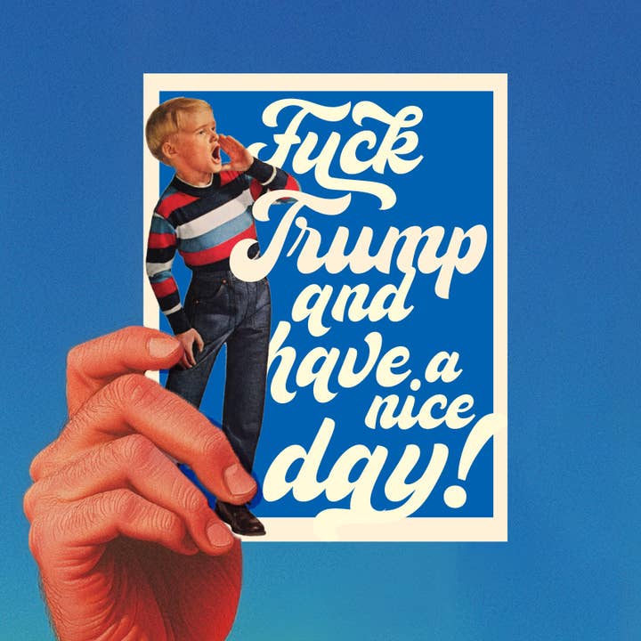 BAMBINO F*CK TRUMP e buona giornata! divertente cartolina politica per la vendita all'ingrosso da parte di offensivedelightful