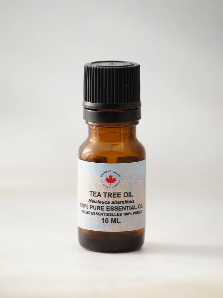 10 ml di olio essenziale dell'albero del tè per la vendita all'ingrosso da parte di Boreal Soap and Candle Company Inc.