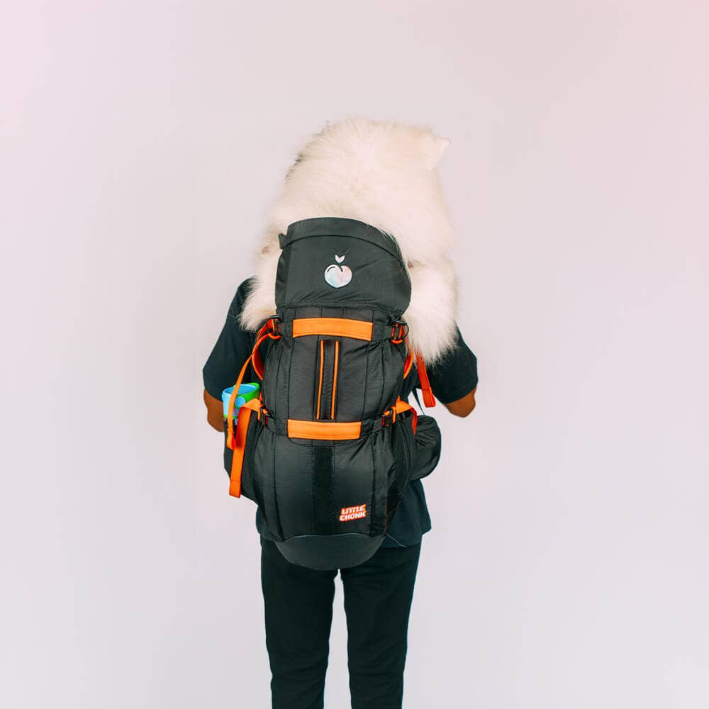 Negro Mochila Brodie One Big Dog de venta al por mayor en Faire10