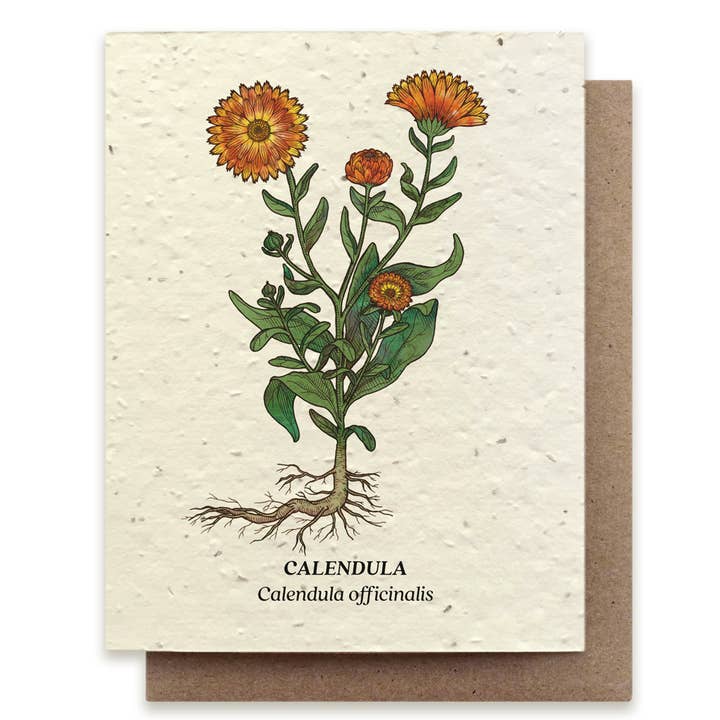 Small Victories - Wholesale Everyday Greeting Card - Calendula Plantable Wildflower Seed Card