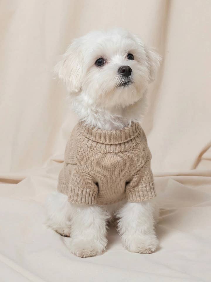 Dierentrui van beige kasjmier voor wholesale door bobbin & tricot