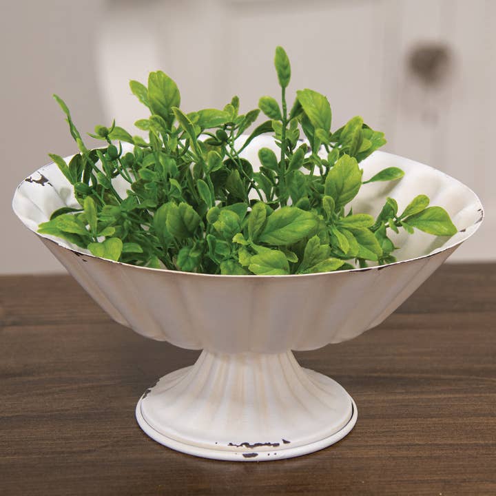 Saybrook Lane - Wholesale Candle Holder - Fresh Sprouted English Boxwood Candle Ring - 1"