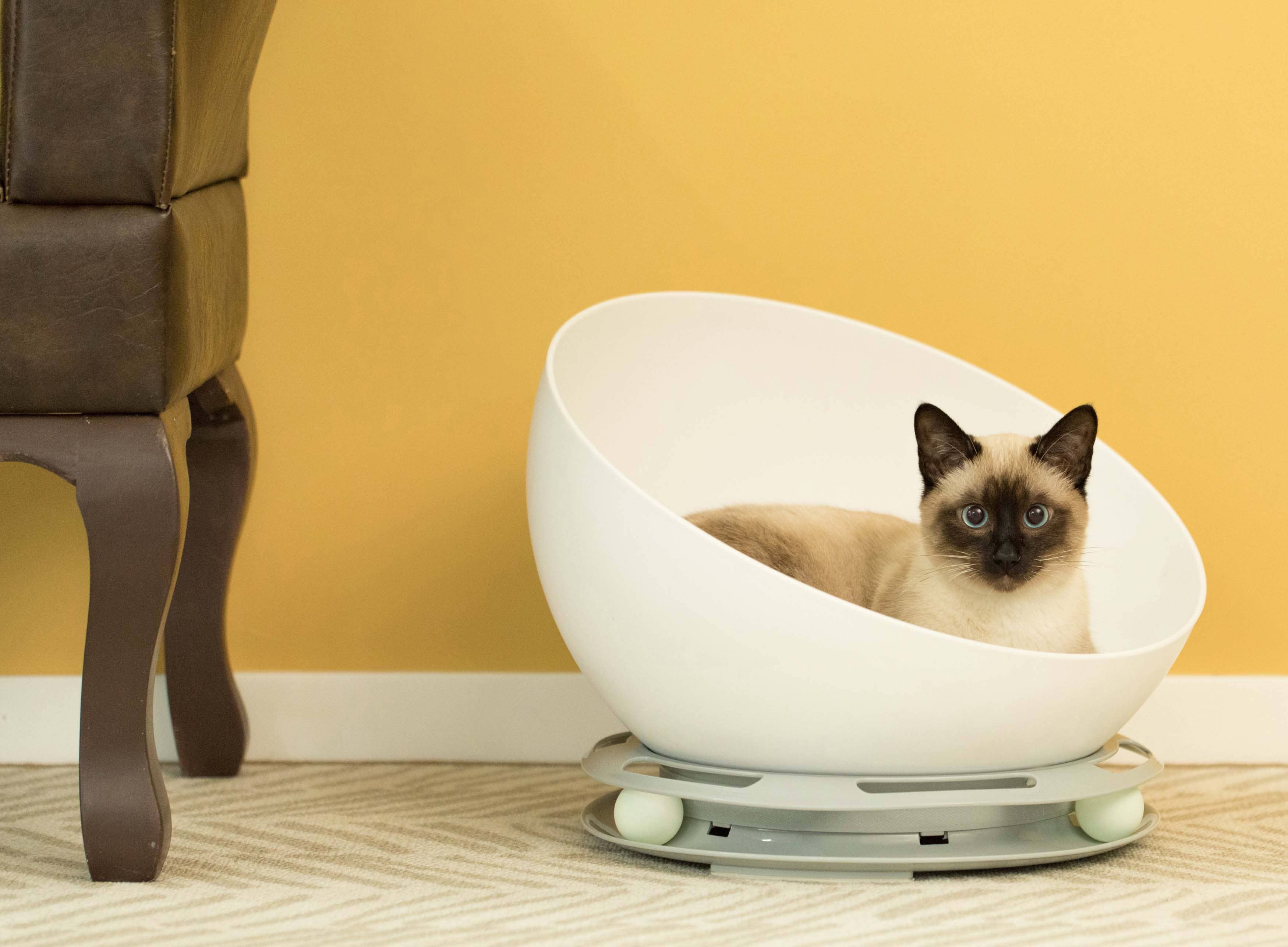 Quickway Imports - Wholesale Pet Bed - Cat/Dog - Plastic Bowl Shaped Sleeping Bed House Cat Cave Lounge9