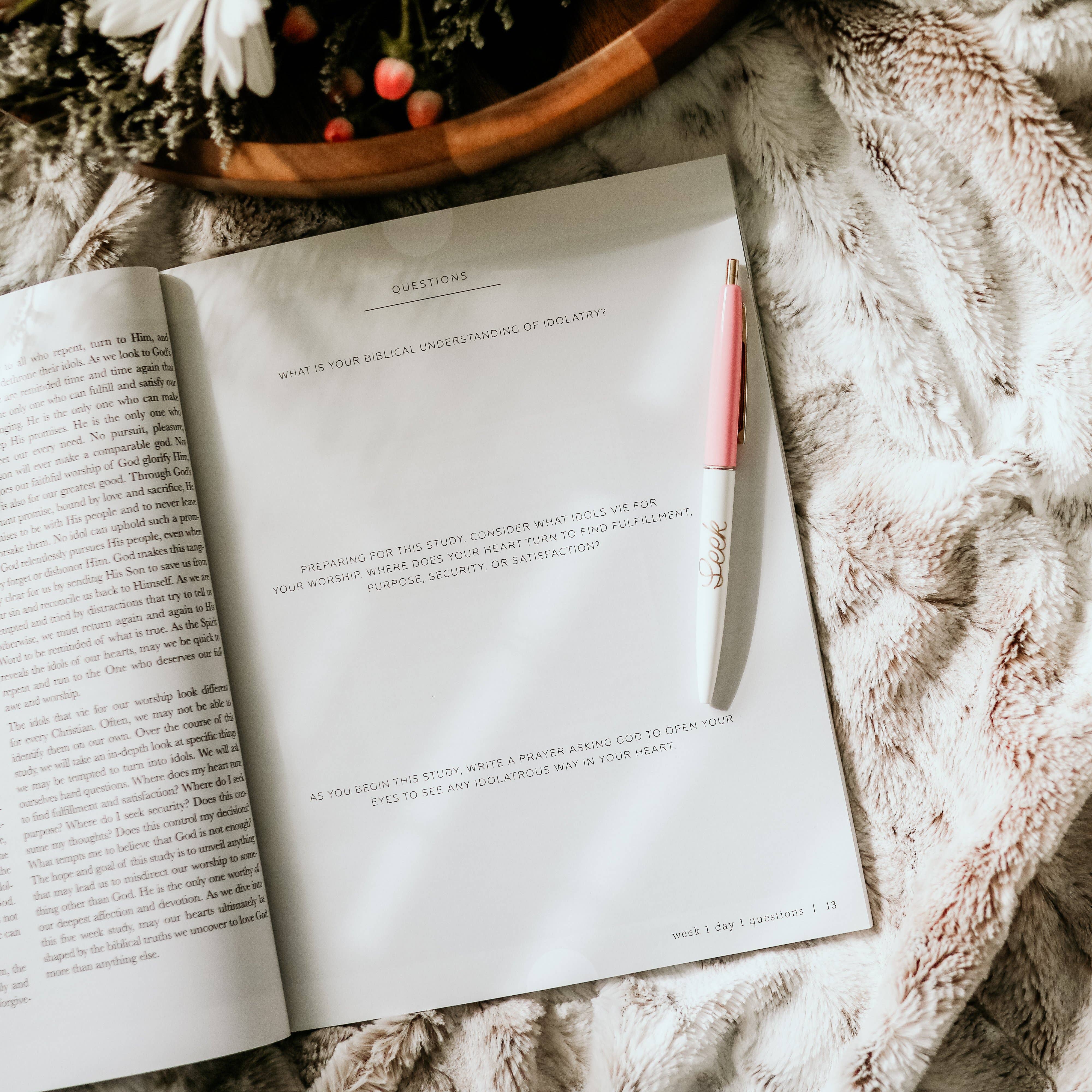 The Daily Grace Co - Wholesale Religion - More Than Anything | Idolatry Study4