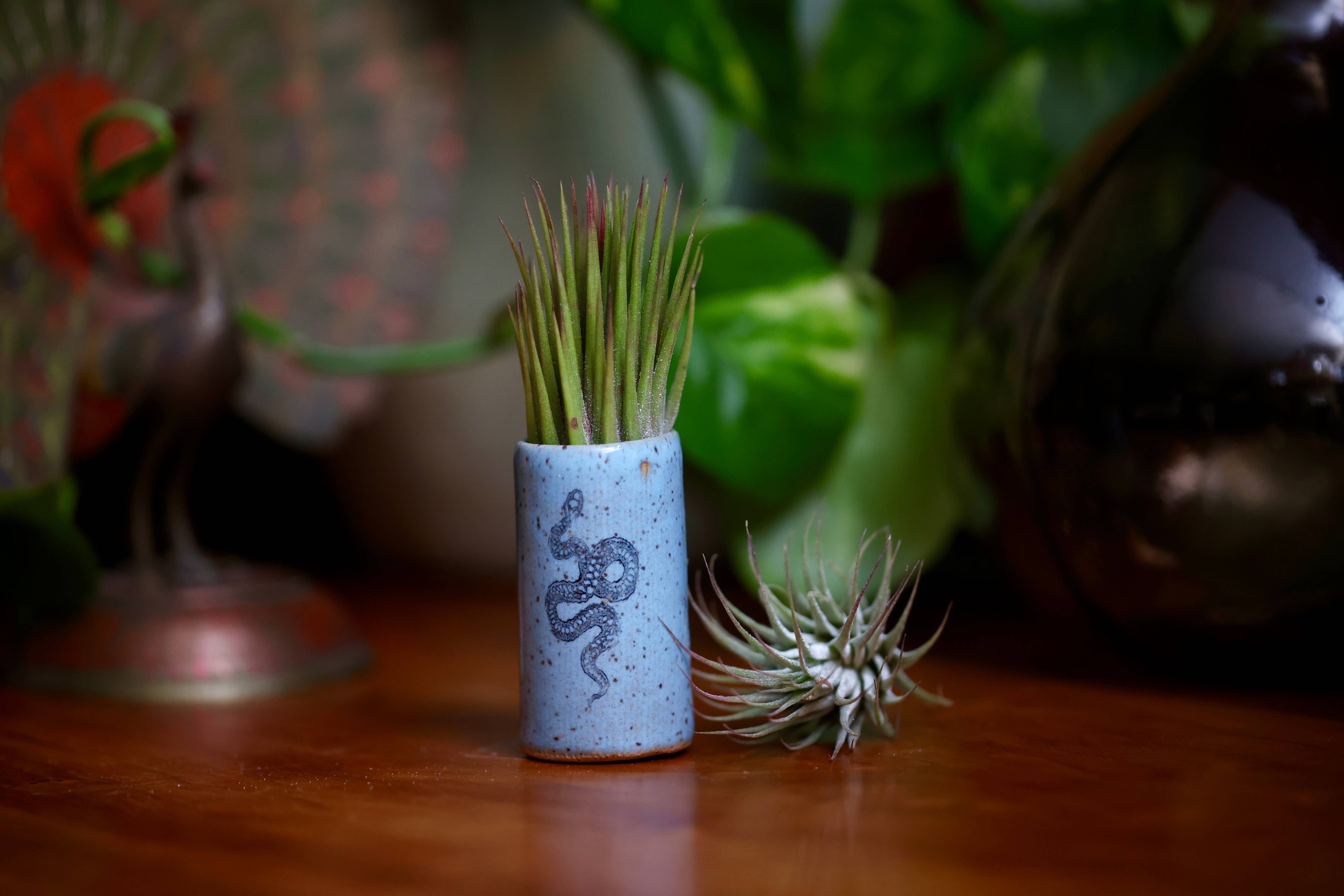 Mix Pack of Glazes Tiny Tumblers - Snake for wholesale on Faire1