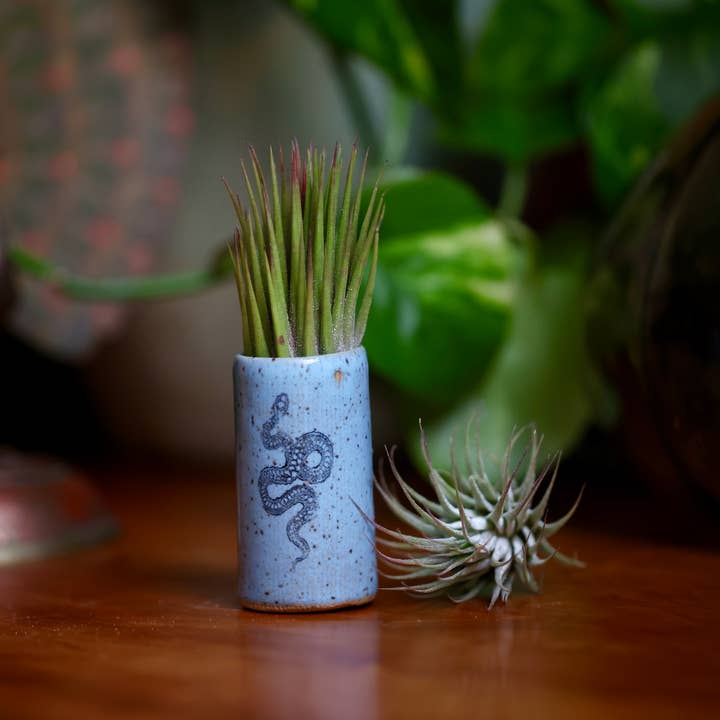 Mix Pack of Glazes Tiny Tumblers - Snake for wholesale on Faire1