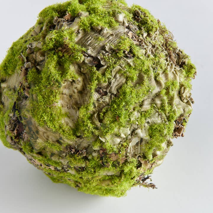 Napa Home & Garden - Wholesale Decorative Tabletop Object - Mossy Lichen Orb 6.5"1