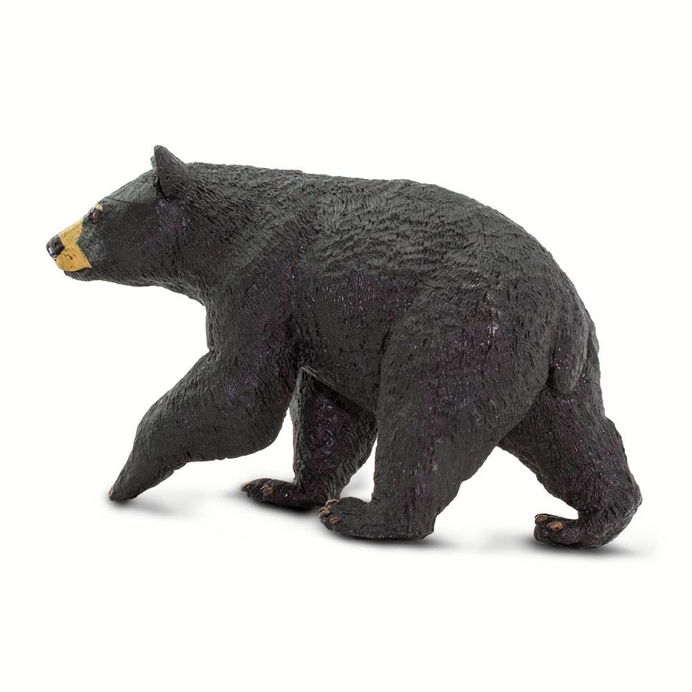 Safari Ltd. - Wholesale Decorative Figurine - Black Bear - 2735291