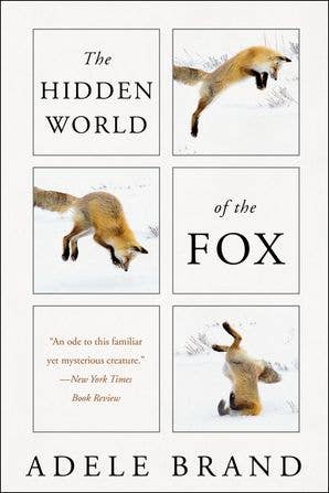 HarperCollins - Wholesale Nature & Outdoors Book - Hidden World of the Fox, The : Adele Brand0