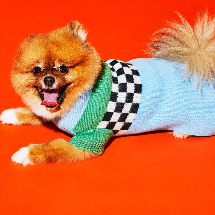 Blu/Multi Maglione a scacchiera in vendita all'ingrosso su Faire2