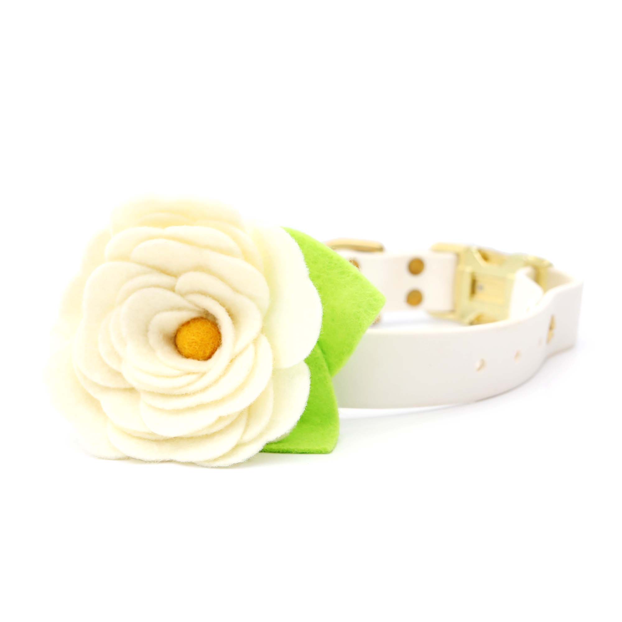 Mimi Green - Vendita all'ingrosso Collare - Cani - Collare per cani Magnolia bianco crema con fiore4