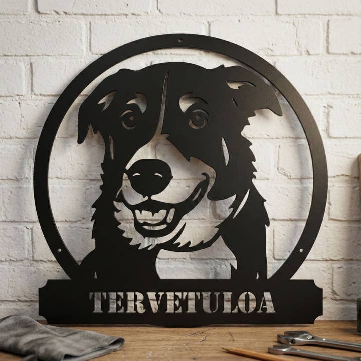 Placa Metálica Border Collie por atacado de Teraskyltit.fi