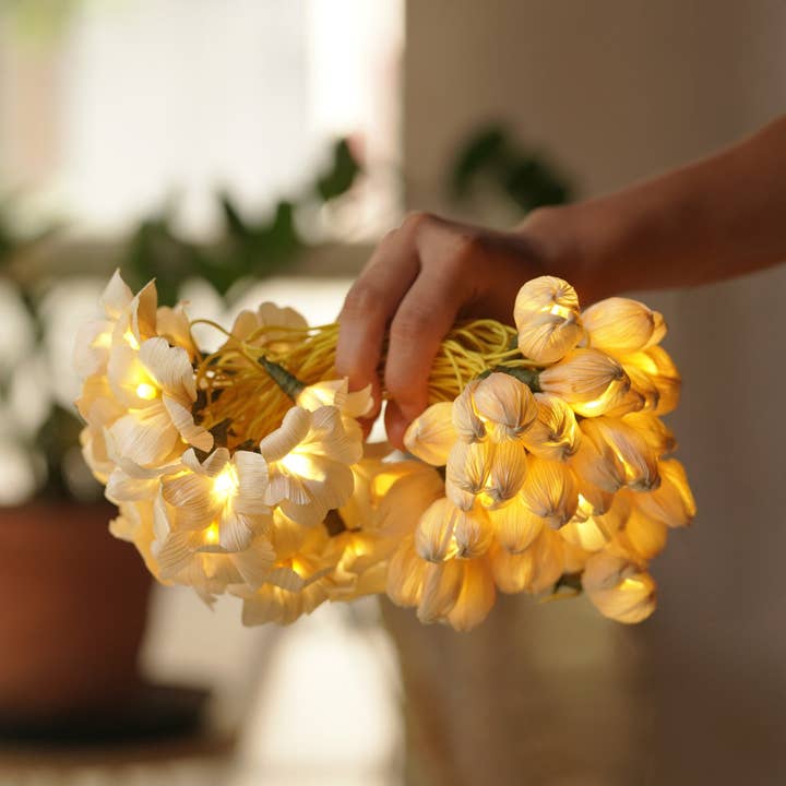 Luz de fada LED artesanal em palha de milho reaproveitada por atacado de Zwende